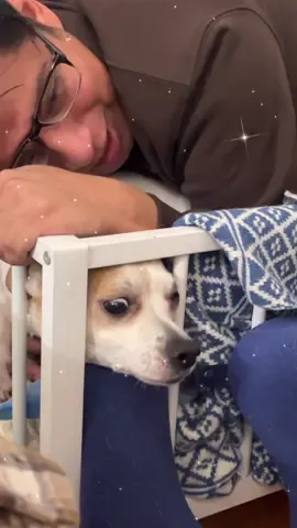🐶🐾🤭