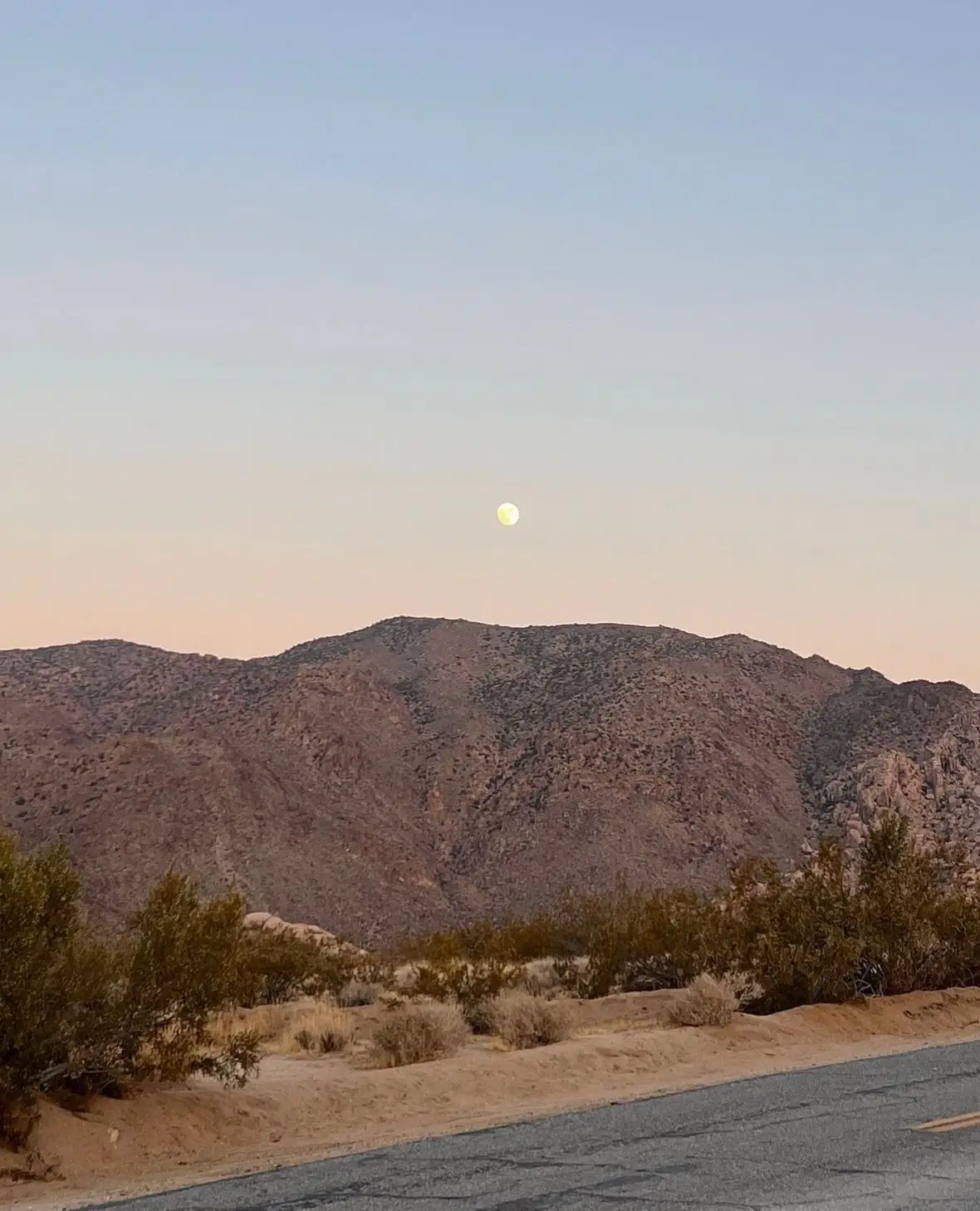 the perfect couple’s trip <3 #joshuatree 