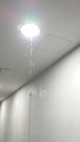 Yikes! When rain becomes an indoor feature… Water dripping through the ceiling light in the corridor – not exactly the home decor I had in mind! Time to call in some emergency repairs. #HomeProblems #WaterDamage #LeakingRoof #DIYNightmare #RainyDays #CorridorDrama #HomeRepair #UnexpectedSurprise #StaySafe #HomeRenovation #OhNo