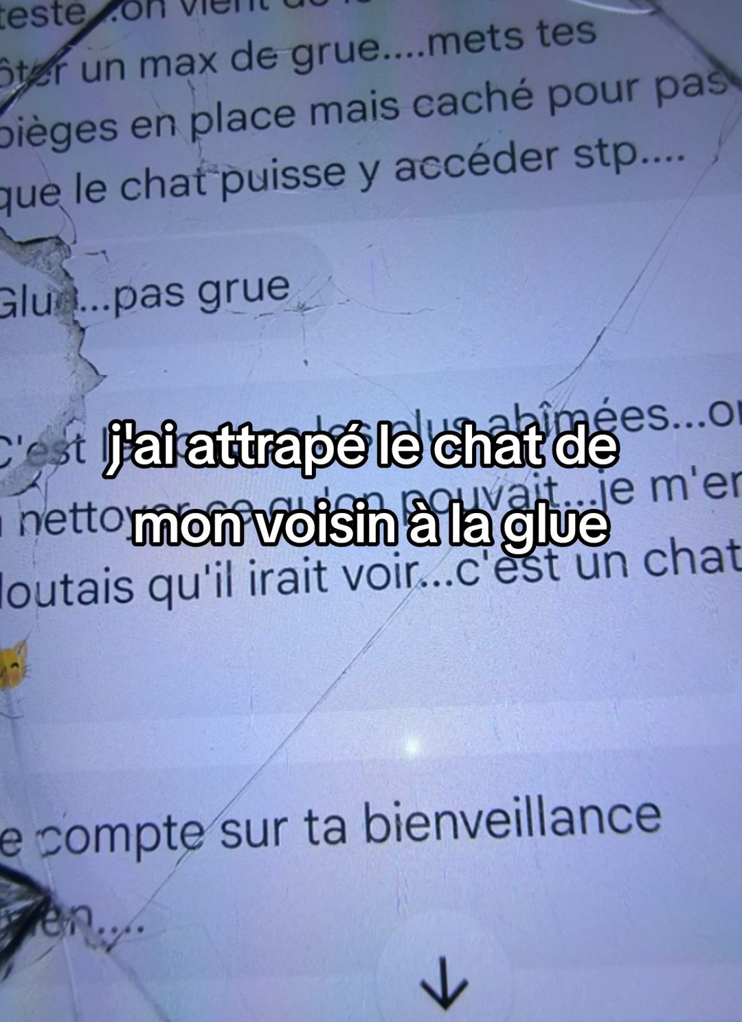 c'est la catastrophe j'ai vraiment honte de moi, heureusement mes voisins sont très gentils ! j'essaie de trouver des solutions dites-moi en commentaire si vous avez des idées ! en tout cas je peux vous assurer que plus jamais je n'utiliserai de piège à glue ! #pov #Vlog #help #avis #humour #animals #Lifestyle 