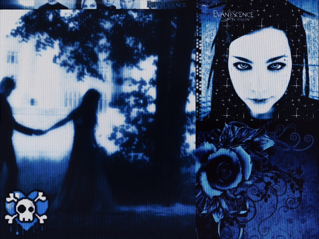 ily amy lee #fyp #moodboard #evanescence #amylee #numetal #altrock #2000s #emo #aesthetic 