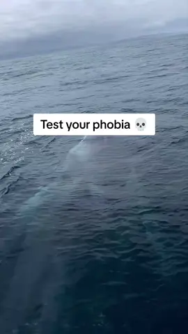 #phobia #ocean #bigwaves #thalassophobia #fear #northsea #deepocean 