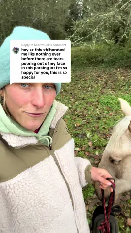 Replying to @heartmuck i guess reincarnation is real 🤯🥰🥹🤩 #animal #dogsoftiktok #foryou #fyp #foryoupageofficiall #reincarnated #reincarnatedhorse #horse #horsesoftiktok #horselove