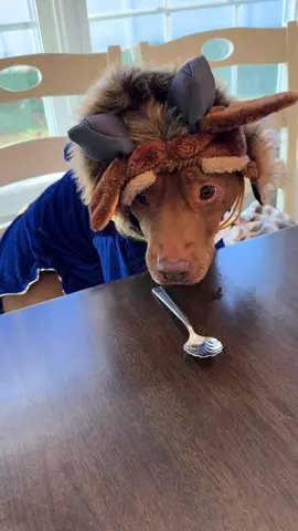 A tale as old as time