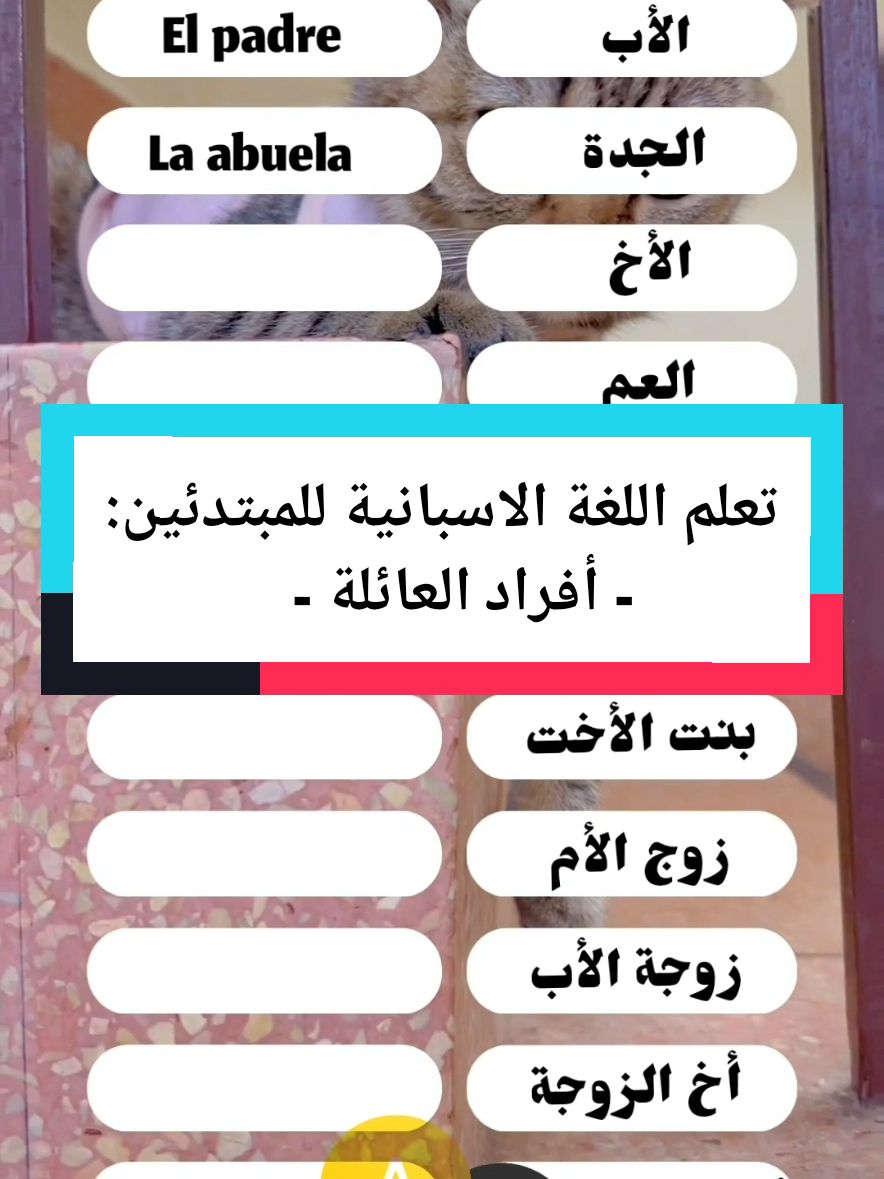 تعلم اللغة الاسبانية للمبتدئين: أفراد العائلة #اللغة_الاسبانية #learnspanishlanguage #spanish #spanishlanguage #الاسبانية_للمبتدئين #اسبانيول #quiz #اللغات #إسبانيول_تفاعلي #omarelouahmani 