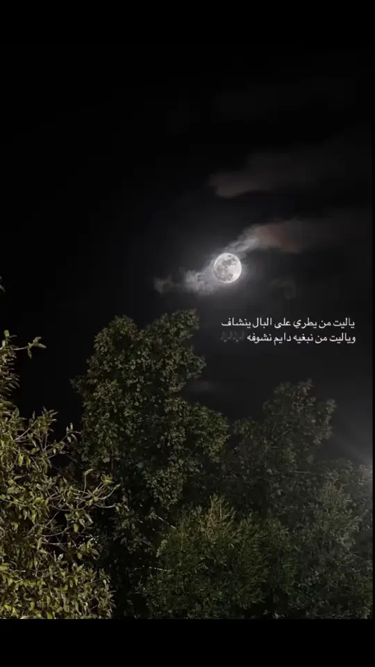 #القمرر✨🕊️ 