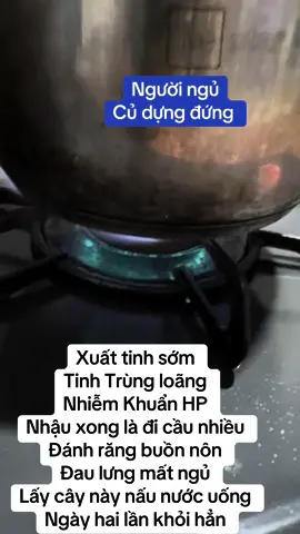 Xuất tinh sớm  Tinh Trùng loãng  Nhiễm Khuẩn HP  Nhậu xong là đi cầu nhiều  Đánh răng buồn nôn  Đau lưng mất ngủ  Lấy cây này nấu nước uống  Ngày hai lần khỏi hẳn #xuhuongtiktok #xuhuong2024 