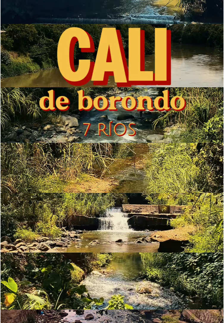 La ciudad de los 7 ríos, esa es Cali 😍 Música: La guagua - El combo candela. #Cali #Colombia #COP16 #Naturaleza #Turismo #Biodiversidad #Río