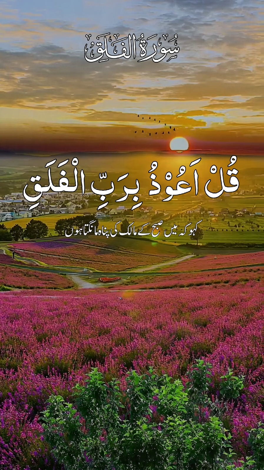 #سورہ_الفلق😍 #راحة_نفسية_قرآن #ارح_سمعك_بالقران🎧♥️ #راحة_نفسية_للقلب🤲📿💕 #سبحان_الله_وبحمده_سبحان_الله_العظيم #اللهم_صلي_على_نبينا_محمد #راحة_نفسية_للقلب🤲📿💕اللهم_لك_الحمد #ارح_سمعك_بالقران🎧♥️ #سبحان_الله_وبحمده_سبحان_الله_العظيم #القران_الكريم @🌹🖋📖 اِقۡرَاۡ 📖🖋🌹 @🌹📖HOLY QURAN 📖🌹 @🥀📖القرآن📖🥀 @🖊️📖الۡقُرۡاٰنَ 📖🖊️ @🌿AL QURAN اَلۡقُرۡاٰنِ🌿 @❤️Worlds of Allah ❤️ @❣ القرآن ❣ @🕋💞🥀کُنْ فَیَکونُ🥀💞🕋 @🌹📖القرآن الکریم📖🌹 @