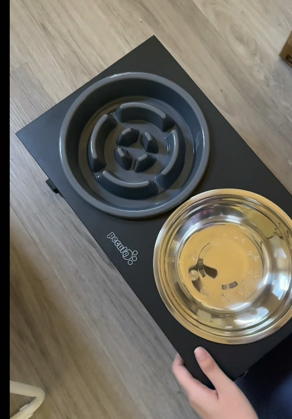 @Pecute Official Thank you for caring about our dogs eating habits and eating posture #pecuteofficial #elevatedpetbowl #fyp #fypagethis #petbowl