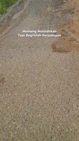 #CapCut #truksawitjambi #trukjambi #fyppppppppppppppppppppppp #fypシ 