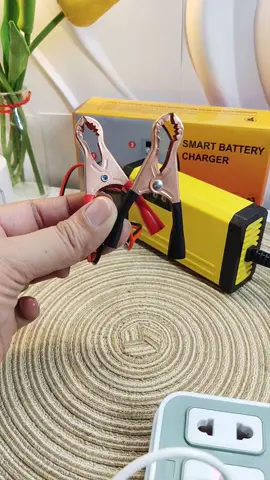 Smart Battery charger for Cars and Motorcycles ✨ #batterycharger #smartbatterycharger #carbatterycharger #motorbatterycharger #12voltsbatterycharger #foryou 