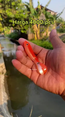 Softlure bionik murah killer #softlure #softlurebionic #umpan #mancing #casting #lure #bait 