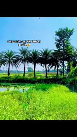 🫠🫠#foryou #foryoupage #tusu_ahmed #lyrics #videos @TikTok Bangladesh 