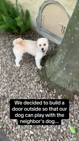 I might build one of these for MYSELF so I can play with the neighbor’s dog 🐶🤣 #RoadTo16Million #Pubity  (Camila Masucci via ViralHog)
