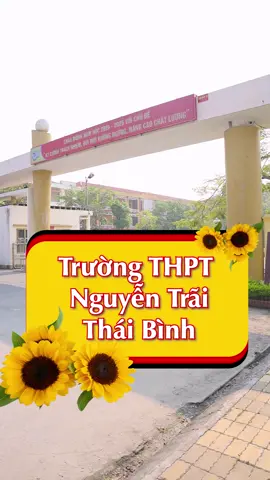THPT - Nguyễn Trãi có diện tích to thật đấy... Quá đẳng cấp luôn.  Các bạn học sinh Nguyễn Trãi đâu rồi...ad trả video nè.##thaibinh #17 #cấp3 #học_sinh #xuhuongtiktok #xuhuong #xhtiktok #xh