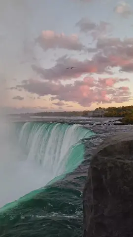 🍁🌄 #niagarafalls #canada #nature #natureasthetics #asthetic #waterfall #usa #naturevibes #naturelove #niagara #sunset #peaceful #fy
