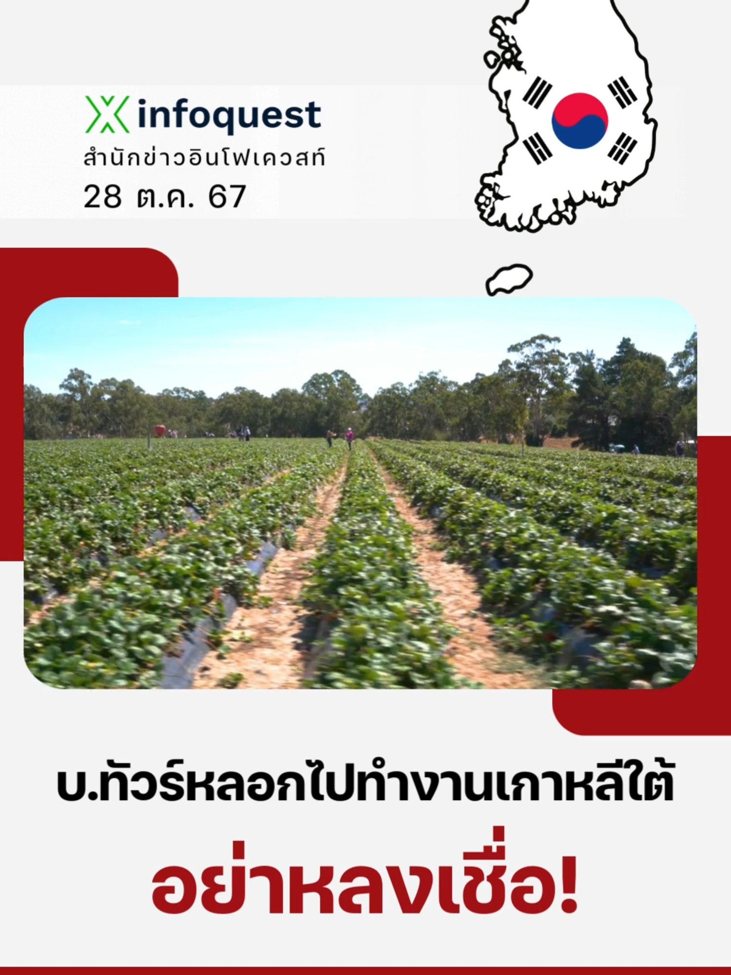 #เตือน! อย่าหลงเชื่อบ.ทัวร์ หลอกคนไป #ทํางานที่ #เกาหลีใต้ #กรมการจัดหางาน #บริษัททัวร์ #วีซ่า#วีซ่าทํางาน #สมัครงาน #ข่าวtiktok #อินโฟเควสท์ #infoquestnews