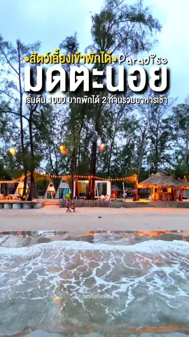 มดตะนอยพาราไดซ์ตรัง #สุดใจ #มดตะนอยพาราไดซ์ #เที่ยวกันกับเพื่อน #หาดมดตะนอย 