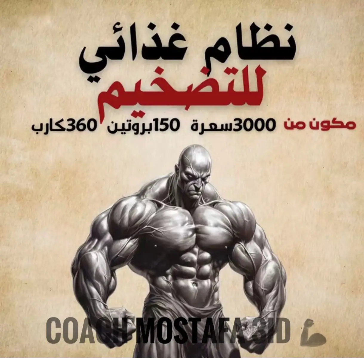 #الطبيعي_يكسب #Gym #كمال_الاجسام #تنشيف #جدول_تمارين #مشاهداتكم⬆️⬆️⬆️⬆️⬆️⬆️ #تضخيم #Fitness #_fypシ #_نصايح_الياقه_البدينه 