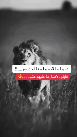 #ستوريات #fypシ゚viral 