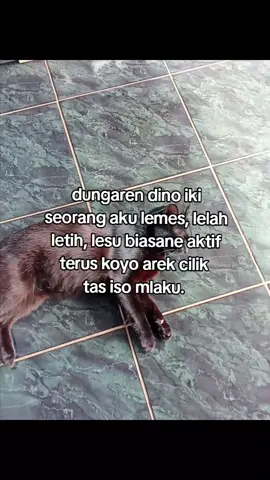 🤒🤧#jawatimur #fypシ #beranda #story #xybca #fyp #kreatortiktok #xybcafyp #xybcafyp #berandatiktok 