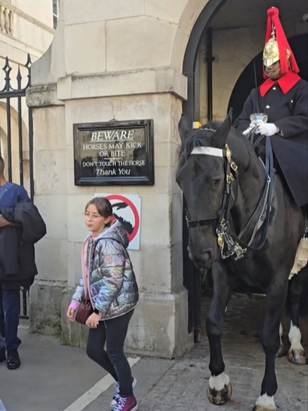 #horseguardsparade #kingslifeguard #britishmilitary #royalkingsguards #kingsguard #london #horse #bluesandroyals 