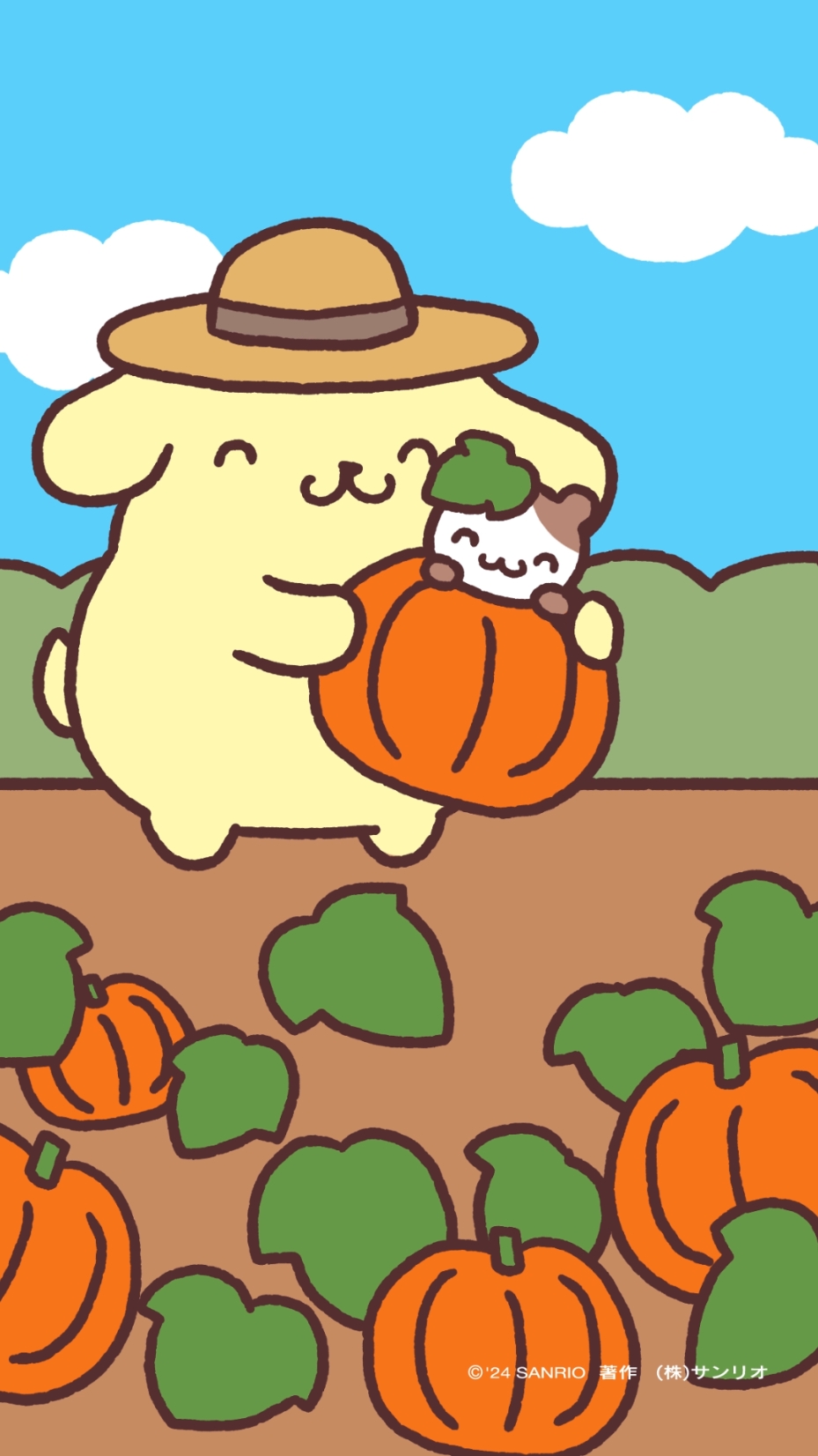 ポムポムファームで採れたかぼちゃだよ～ゴロゴロ～ #ポムプリアニメ #ポムポムプリン #POMPOMPURIN #sanrio #폼폼푸린 #halloween 