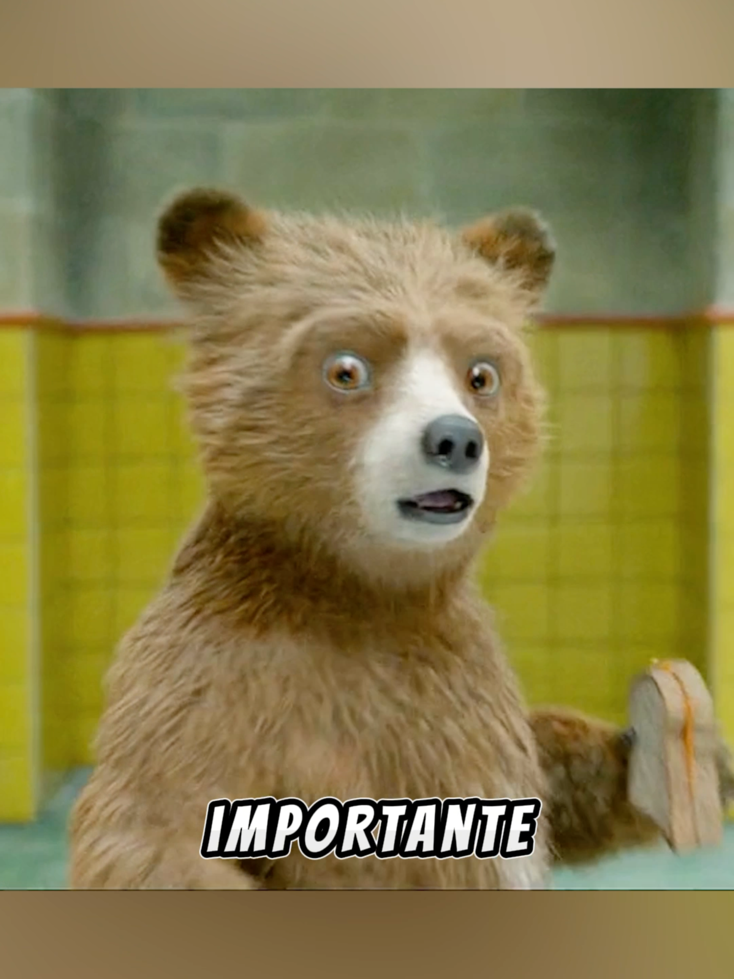 Un oso inteligente#foryou #movie #spain #usa