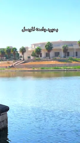#رئاسه_جامعه_الموصل 