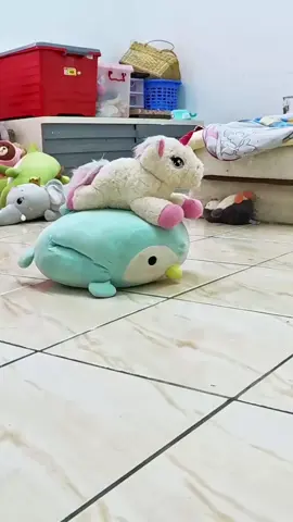 🙀 DieDie favorite toy  #petinstagrams #petinsta #catlover #cat #pet 