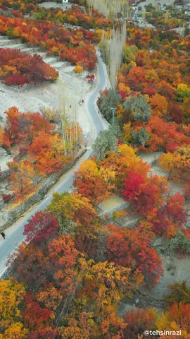 This is how autumn looks in Pakistan. #autumn #travel #pakistan #gilgitbaltistan 