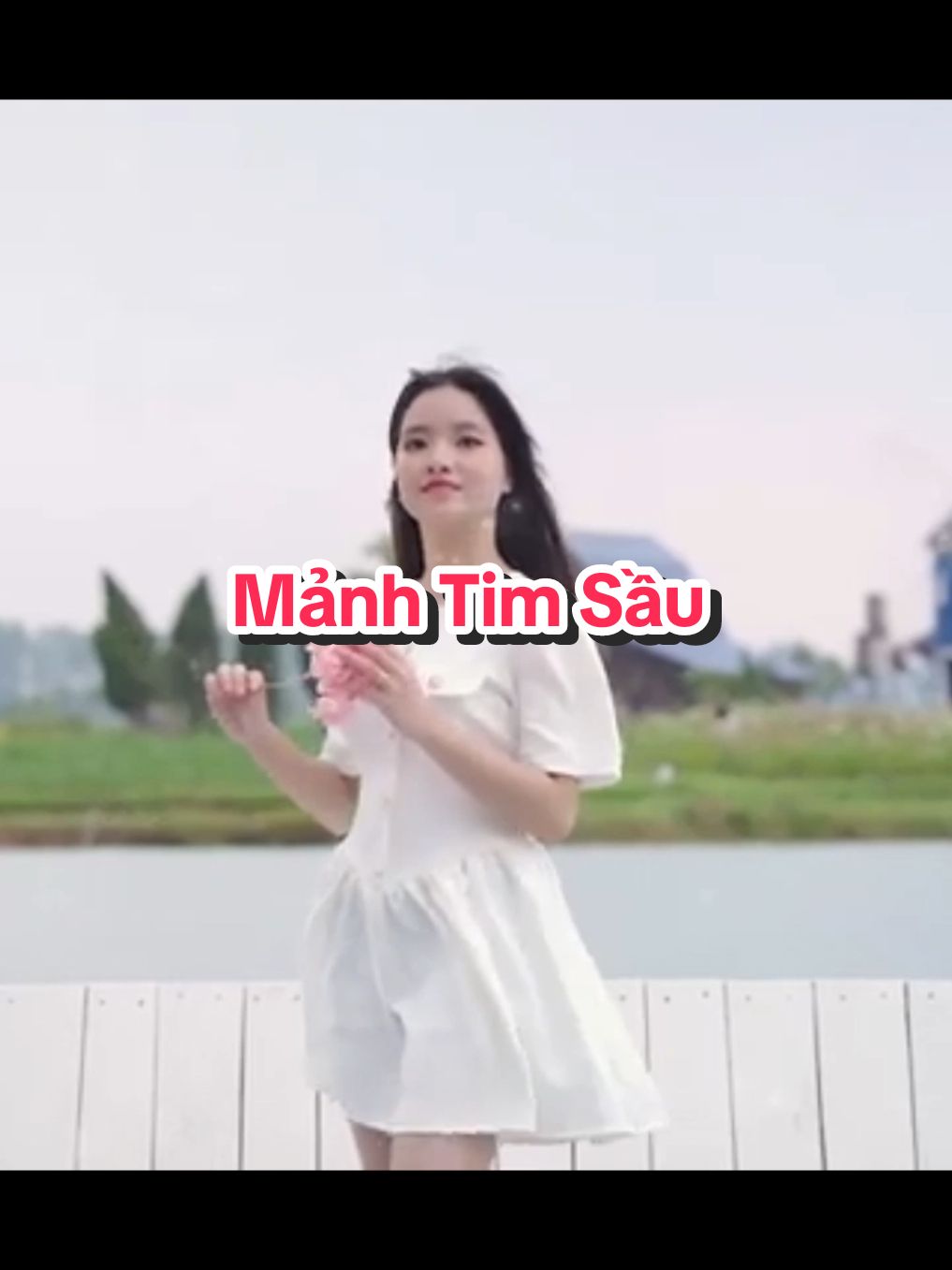 #Mảnh Tim Sầu #nhạchaymỗingày #63quêtôi #mỹthoquêtôi #tâncổgiaoduyên 