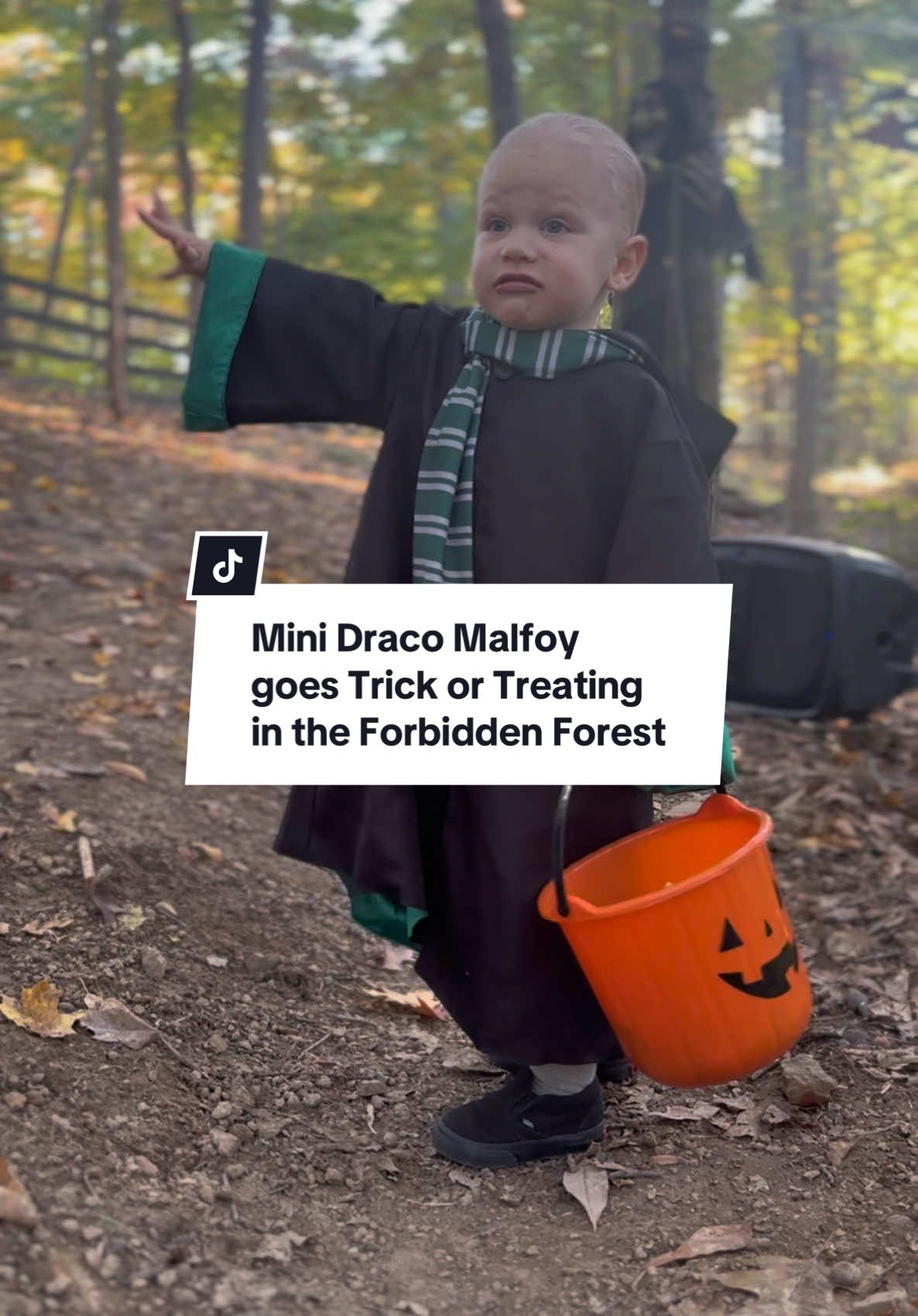 Mini Draco Malfoy goes Trick or Treating in the Forbidden Forest  - #dracomalfoy #draco #malfoy #slytherin #harrypotter #babydraco #toddlerdraco #harrypottertiktok #harrypottertoddler #forbiddenforest #trickortreat #spookytrail 