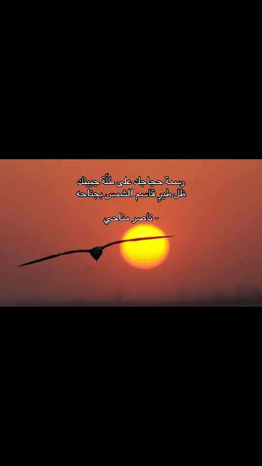 #بيت_وصوره #ناصر_مناحي #شعر 