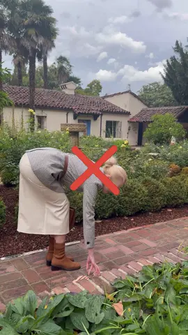 🔔 Graceful Retrieval. When picking something up from the ground, there’s a more graceful way to do it. Instead of bending at the waist, bend your knees to maintain poise and elegance.#etiquettetips #etiquette #etiquettecoach #classy #traditional #socialetiquette #mannersmatter #elevate 