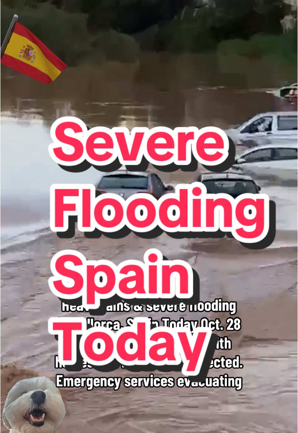 This is not normal? #Spain #Mallorca #Today #News #SevereFlooding #Flooding #Weather 