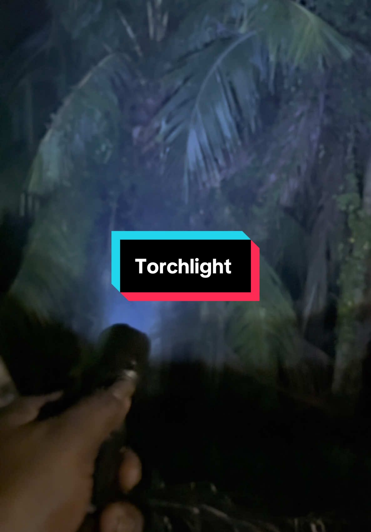 Super brigth torchlight.#torchlightviral #puven1089