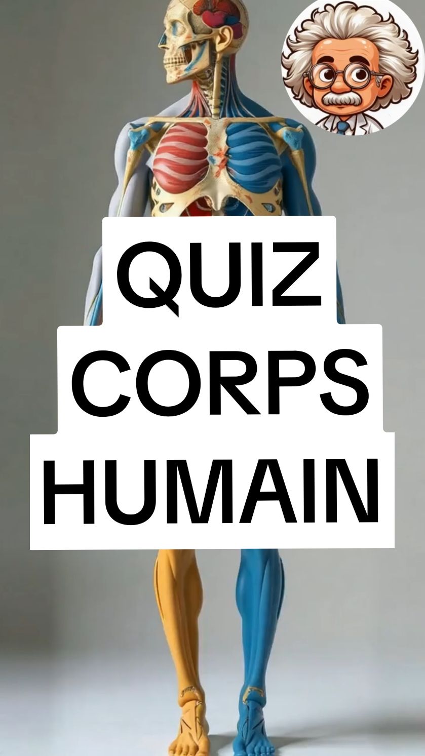 Quiz sur le corps humain #quiz #corpshumain #humain #science 