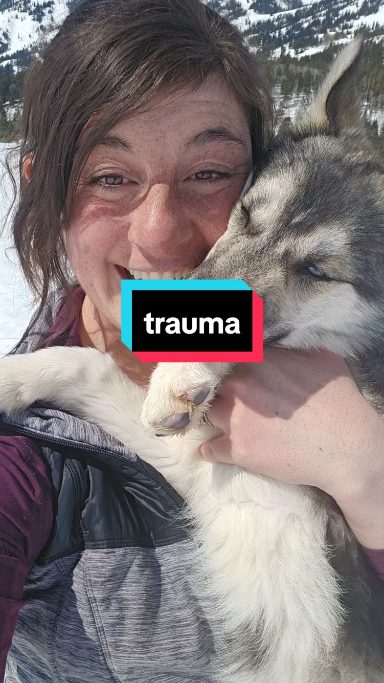 There are so many things I wish I could tell my younger self. But more than anything it would be that it's OK to say no and it isn't your fault that someone didn't listen when you did. #sa #sasurvivor #sleddogs #husky #healing #trauma 