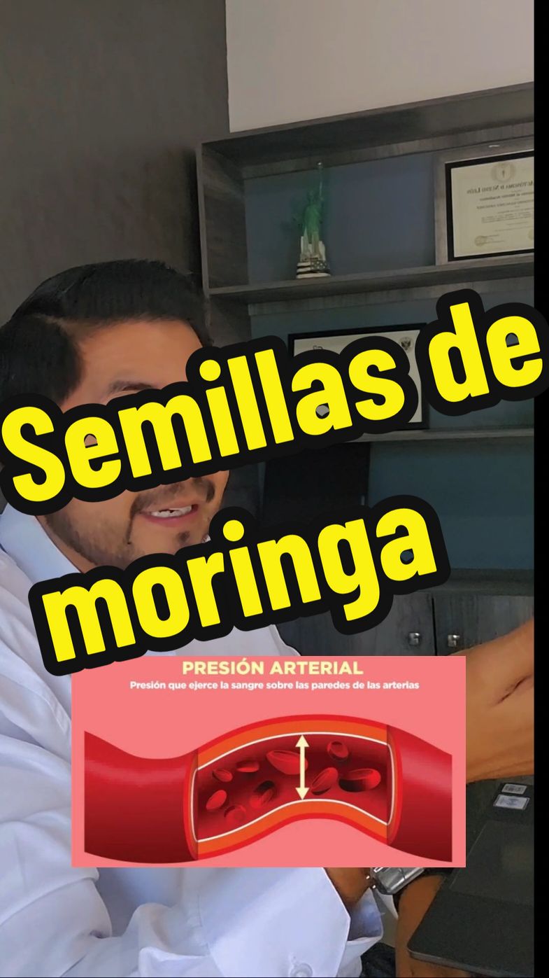 ¿Cómo se consumen las semillas de moringa? Esta es una pregunta frecuente entre las personas que quieren incorporar esta planta medicinal para tratar sus padecimientos. La realidad es que se consumen de manera distinta dependiendo del padecimiento a tratar. En este video le dejo más información al respecto. #moringa #moringabenefits #moringapowder #plantasmedicinales #herbolaria #remediosnaturales #remedioscaseros #fitoterapia #medicinanatural #saludnatural #hierbasmedicinales #saludnatural 