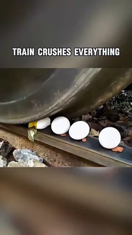 #train #test #crushes #fyp 