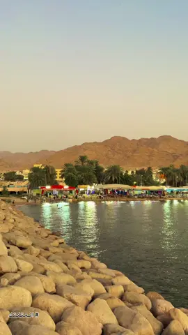 قالت من انت وقلت مجموعة إنسان #تصويري #الاردن #العقبه #المينا_هاوس #رواق_هدوء_جمال #اكسبلور #aqaba #explor 