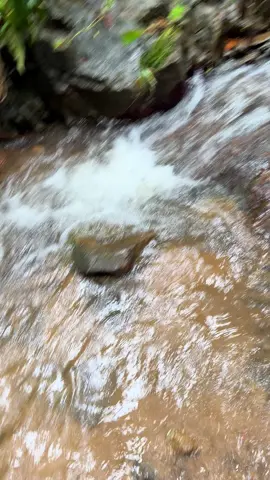 Ton Sai Waterfalls🩵 #fyp #kawthaung #phuket #ภูเก็ต 