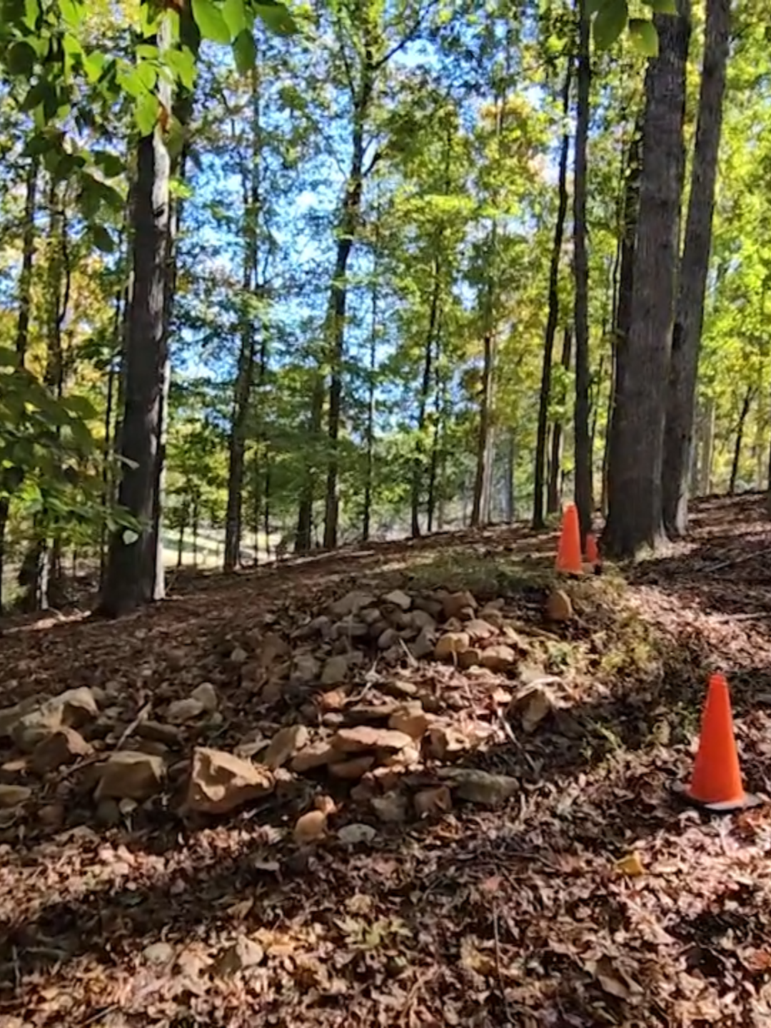 #CourtTV takes a look at the burn pile where prosecutors say #MelodyFarris burned the body of her husband after shooting him. The jury saw the crime scene before the State rested its case. #courttvlive #courttvtiktok #courttvshow #courttvnetwork #courttvlivestream #truecrime #justice #murder #burn #burnpile #jury #crime #crimescene #shooting