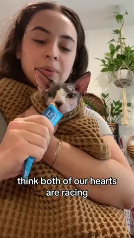 A Tale of Two Kitties 🐱 #cat #catsoftiktok #catitude #bath #bathtime #water #twocats credit: @Jacqueline farias 