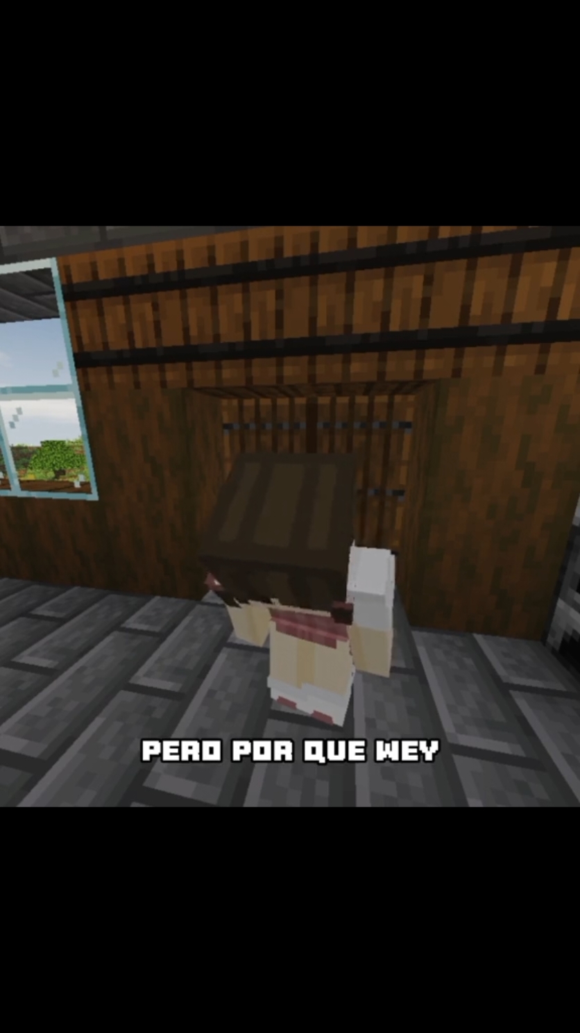 Solo como una amiga #ricardounivers #tiktok #mine #fyp #Minecraft #humor #minecraftmemes 