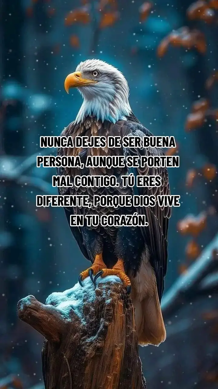 MOTIVACIÓN 👍📈📊 #libertad  #crecimiento  #desarrollo   #reflexiones  #objetivo  #metas  #inversiones  #liderazgo  #librecomounaaguilafuerte 