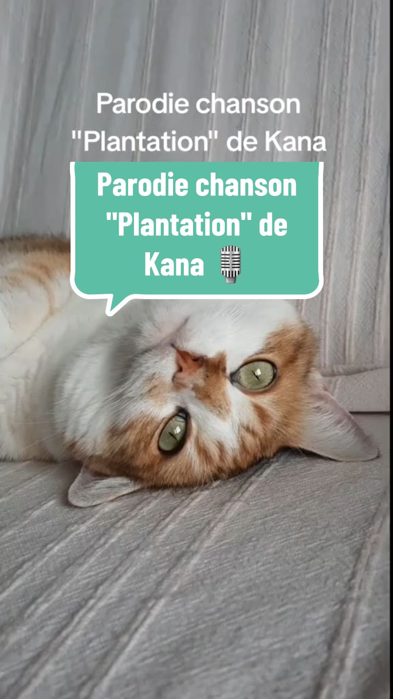 Parodie de chanson 😺  #doublage #humour #chatmarrant #chat #parodie 
