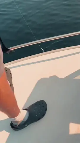 Not your typical taxman part 2 Easy to see why you'll lose all your jigs when these units decide to cruise through. Another epic video by @wildgrosmornecom . . . . . . . . . . . . #BDOutdoors #bdoutdoorsdotcom #bloodydecks #offshorefishing #socal #fisherman #anglers #bluefin #tuna #bluefintuna #bft #tunafishing